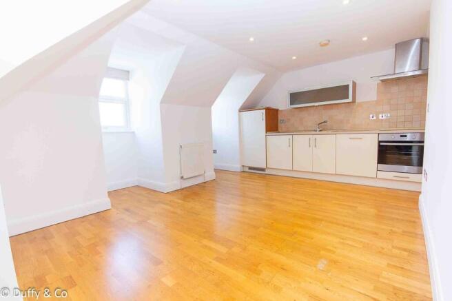 Open plan living room and kitchen