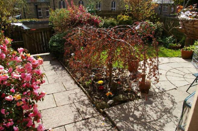 Photo 7
