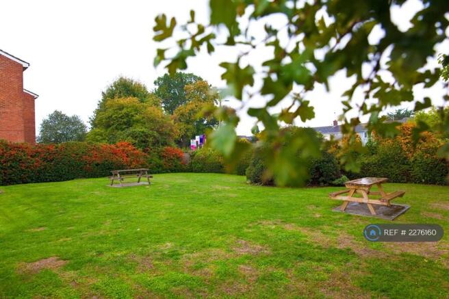 Shared Garden 
