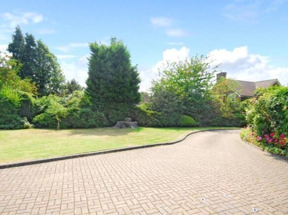 Photo 15