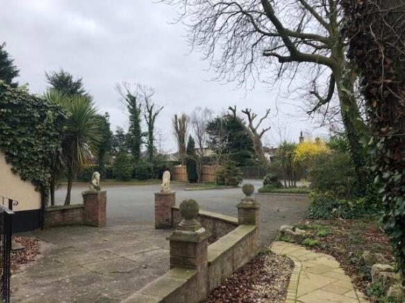 Photo 19