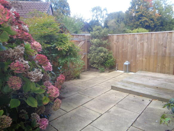 Photo 11
