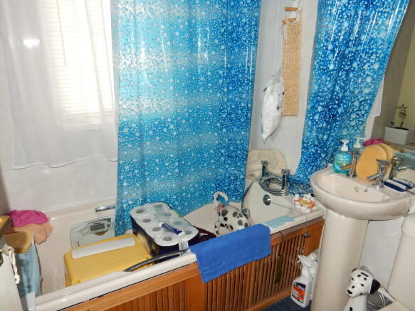 Photo 10