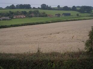 Countryside View