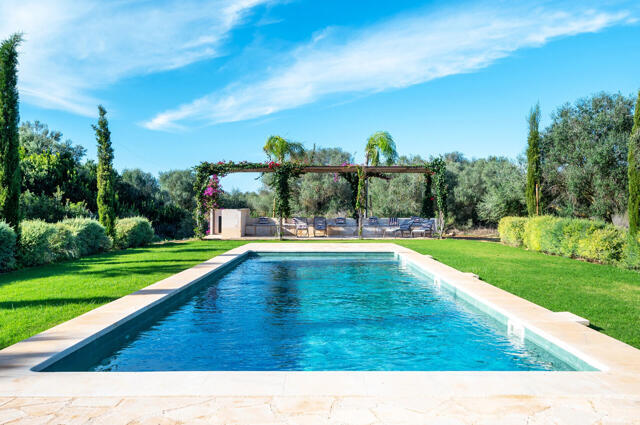 45eed869-4cf7-46e0-adda-e64749ff7b25