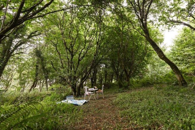 Woodland