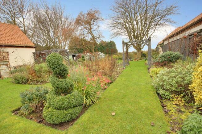 Garden at Back