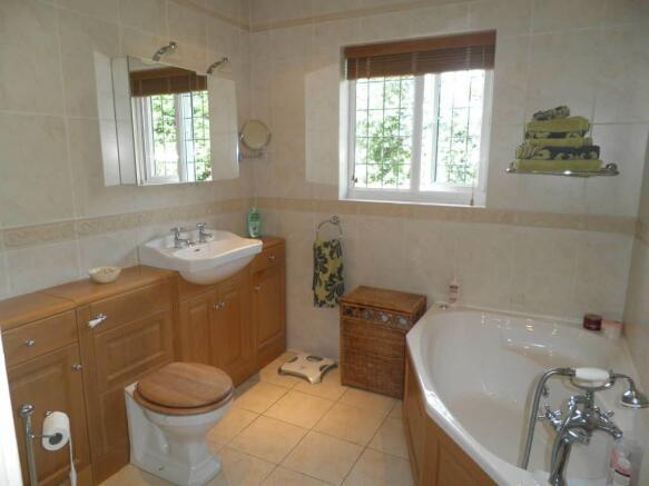 Photo 11