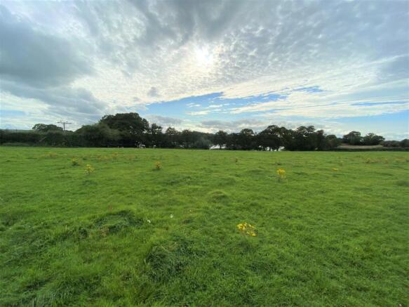 field2.JPG