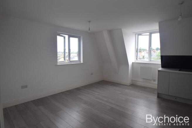 Kitchen/Living Area