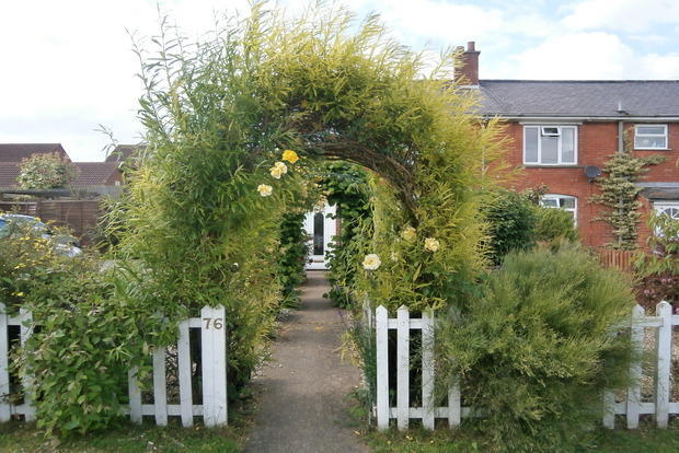 Photo 8