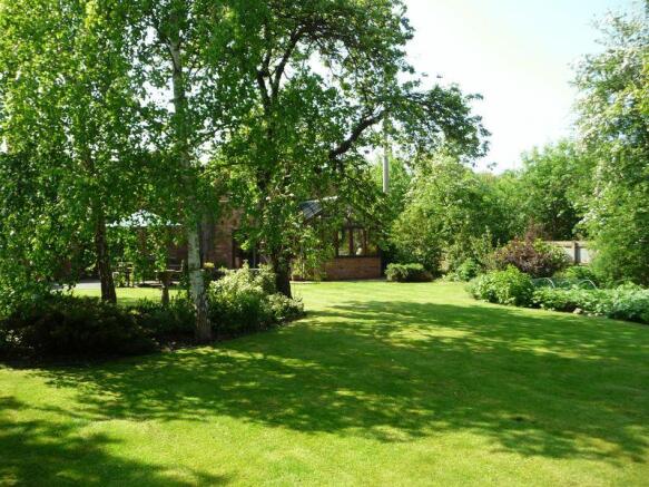 garden 4