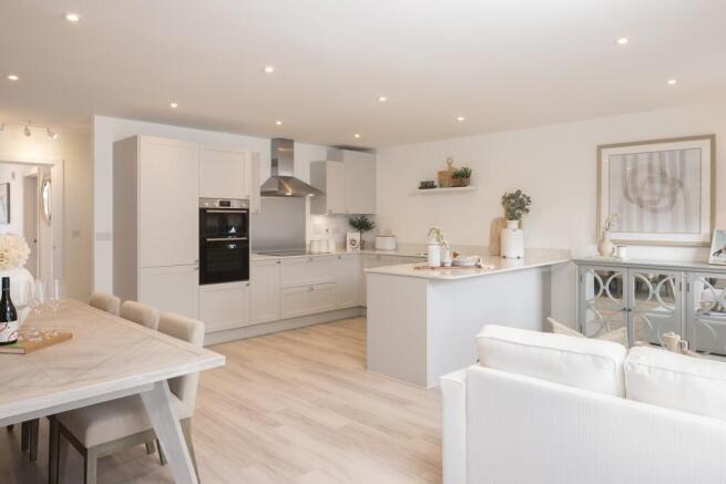 kitchen / dining / family room