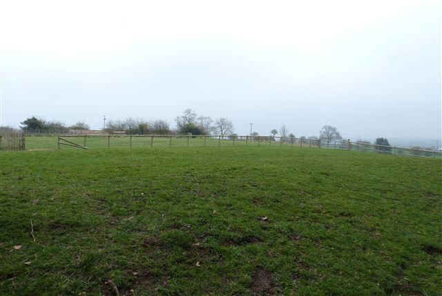 paddock