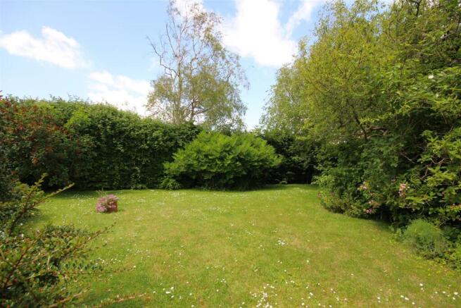 garden 4.JPG