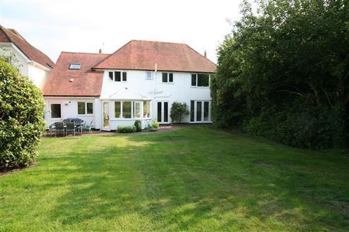 Rear Of Property