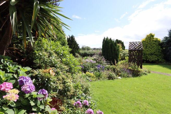 Stunning Garden