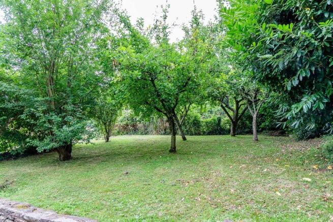 Orchard