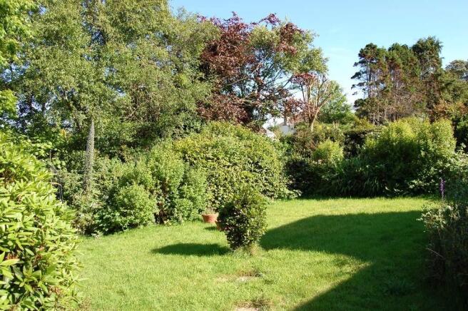 Rear garden