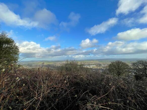 IMG 2670 T202512191550.jpeg