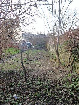 South Street 86 garden sm.jpg