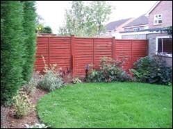 View of Rear Garden