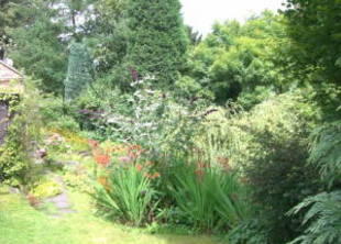Photo 4