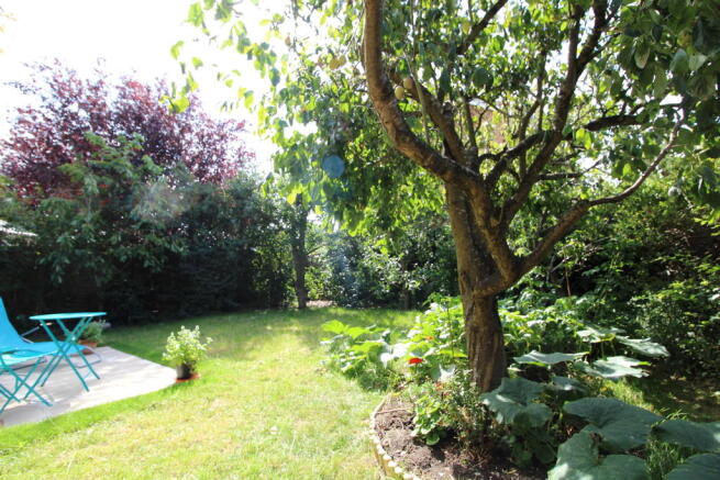 Photo 5