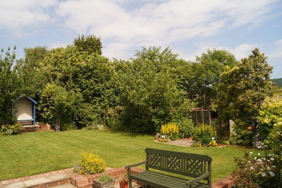 Patio and Rear