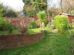 Rear Garden 4