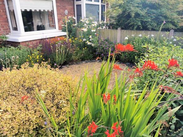 Front Garden In The Summer