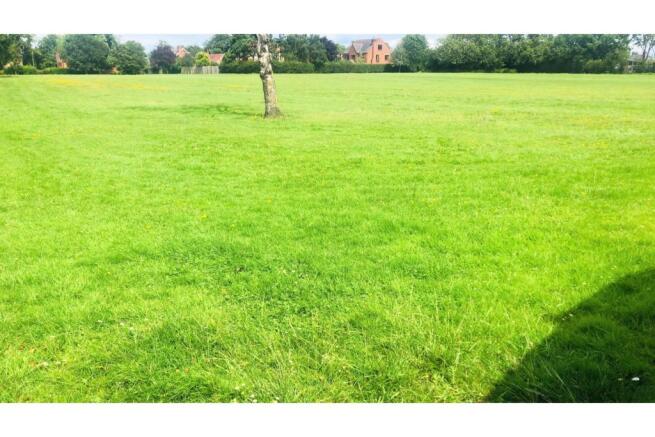 Field