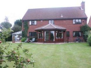Rear Elevation