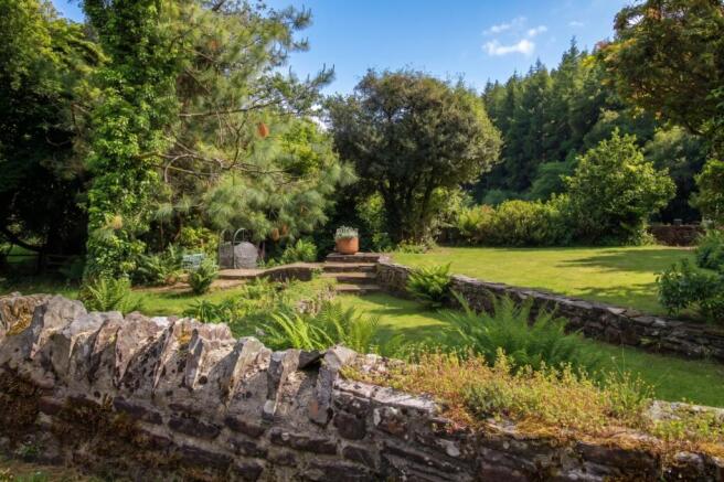 Garden from the wall