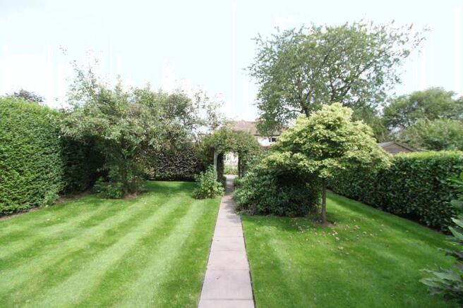 rear garden p3