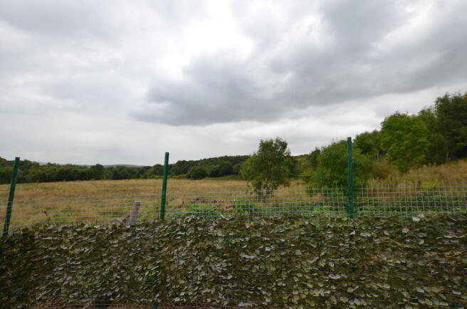 DSC_1288.JPG