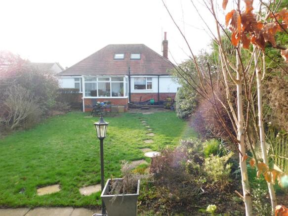Garden 1