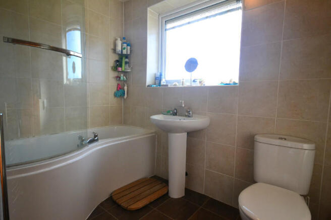 Picture 8