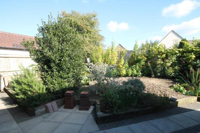 Vegetable Garden