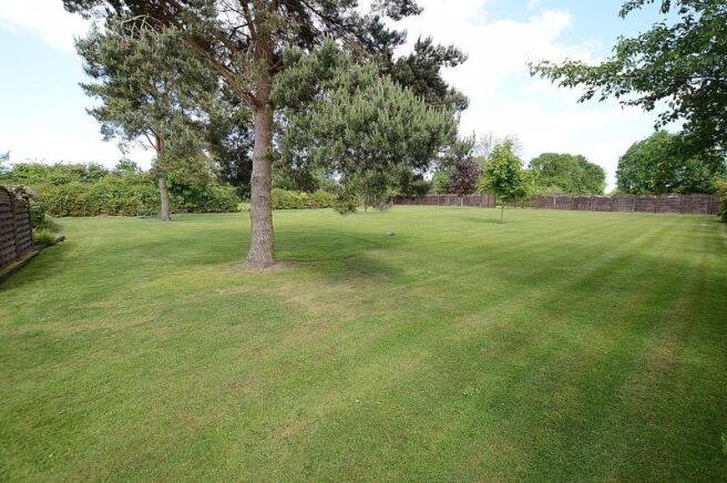 Enclosed Rear Garden
