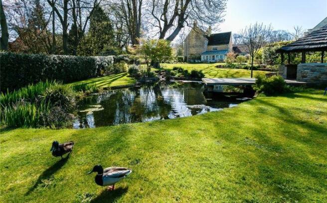 Landscaped Gardens