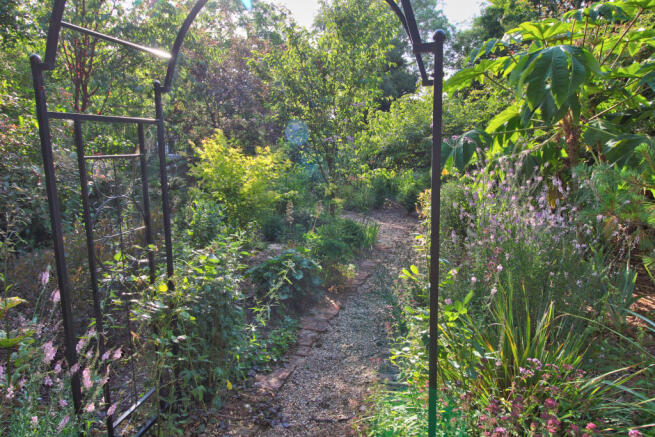 Garden 11