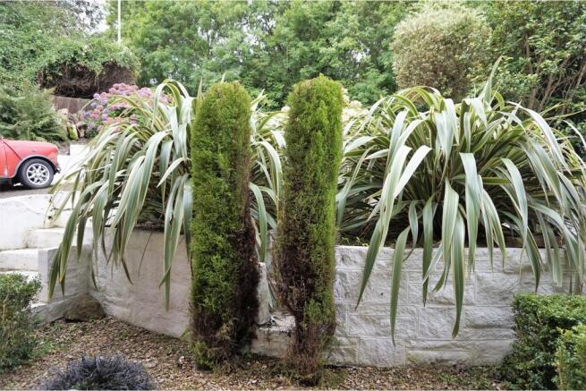 Front Garden