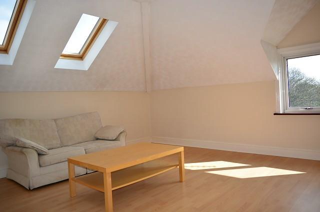 lounge (Main)