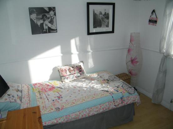 Picture No.10