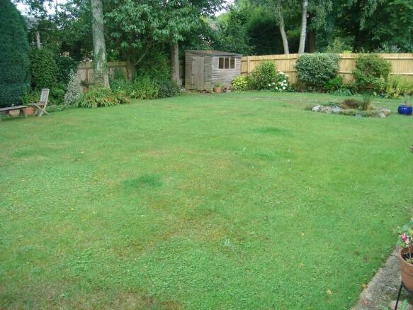 Photo 5