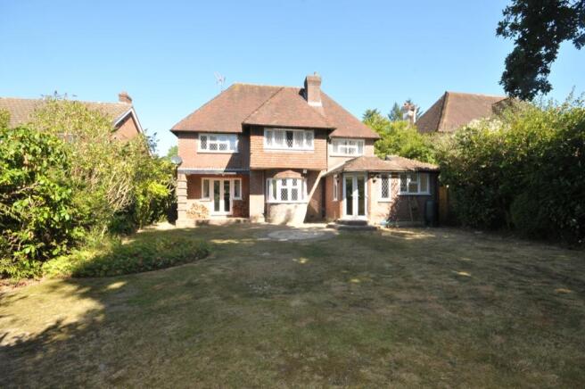 Back Garden