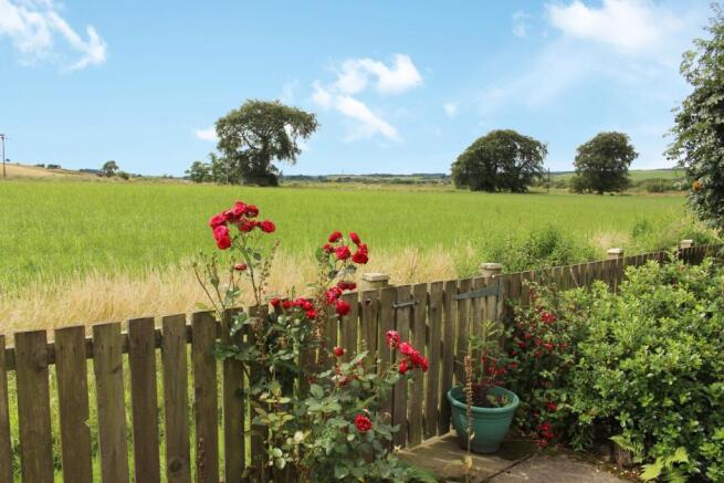 Garden/View