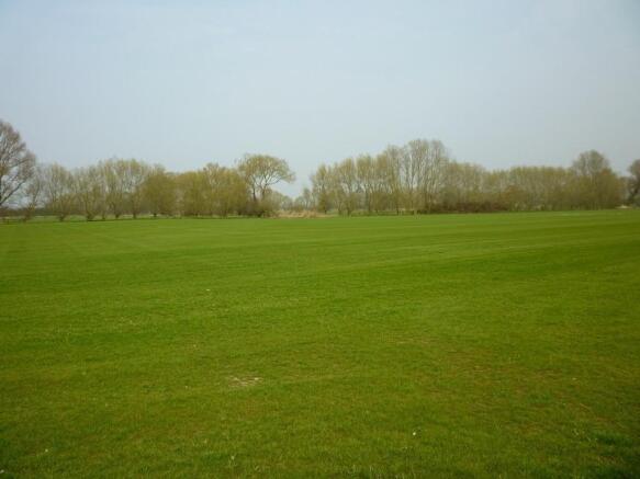Fields Views