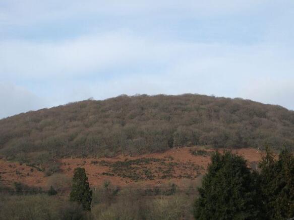 View of the Deri